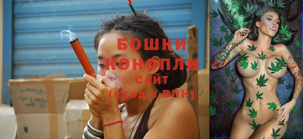 амф Верея