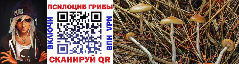 где купить наркоту  маркетплейс официальный сайт  Галлюциногенные грибы Psilocybe  Калуга 